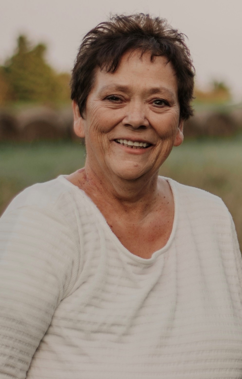 Miramichi's Funeral Announcements Noella Daigle June 14 2024